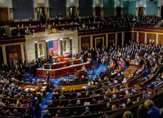 10 штатів з найбільш виборчими голосами: Нью -Йорк падає на 4 місце