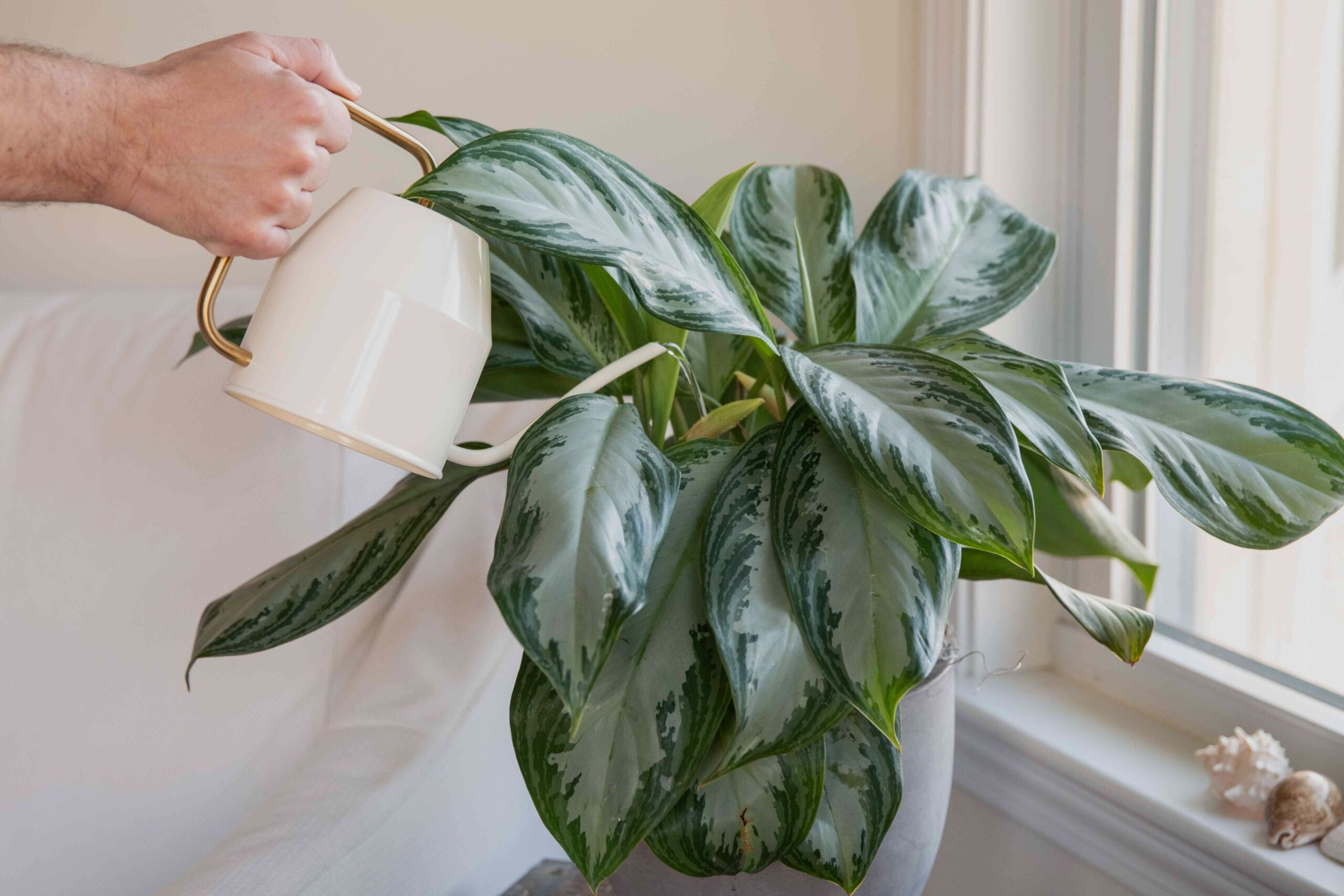 3ed7dcd5-97ca-4b94-bd81-a8b8addccb82