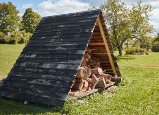 Seis maneiras de encontrar lenha grátis perto de você