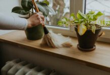 Позбавтеся домашнього пилу: поради експертів для чистішого дому