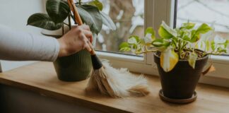 Eliminare la polvere domestica: i consigli degli esperti per una casa più pulita