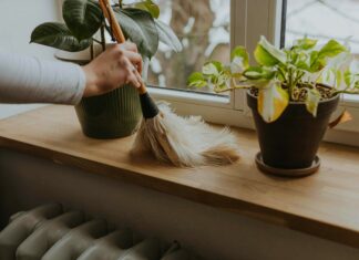 Позбавтеся домашнього пилу: поради експертів для чистішого дому