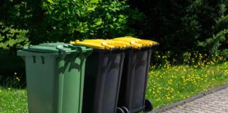 Corbeille de voisinage : quand le partage d’une poubelle tourne mal