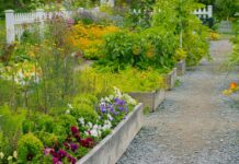 Перший Сад: Посібник для Початківців Створення Власного Саду