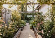 13 Бюджетних Садових Доріжок, які можна зробити за вихідні