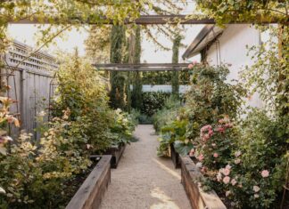 13 Бюджетних Садових Доріжок, які можна зробити за вихідні