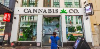 The 12 Most Cannabis-Friendly States in the US