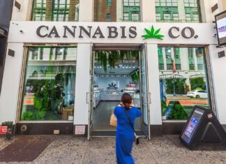 12 сприятливих для трави країн як для відпочинку, так і для лікування