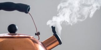 Mengapa Hawks Circle di “Kettles”: Ilmu Pertemuan Lintas Udara