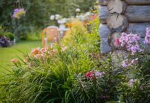 Боротьба з Травою у Клумбах: Посібник для Садівників