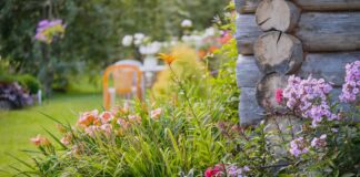 Mengontrol Rumput di Hamparan Bunga: Panduan Tukang Kebun