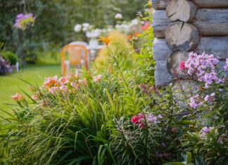 Боротьба з Травою у Клумбах: Посібник для Садівників