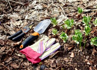 Незамінні весняні роботи в саду: 5 завдань, які потрібно виконати до першого цвітіння