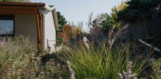 Aménagement paysager nécessitant peu d’entretien pour les petites cours avant