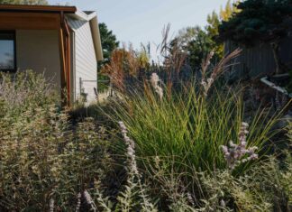 Низьковитратне озеленення для невеликих передніх дворів