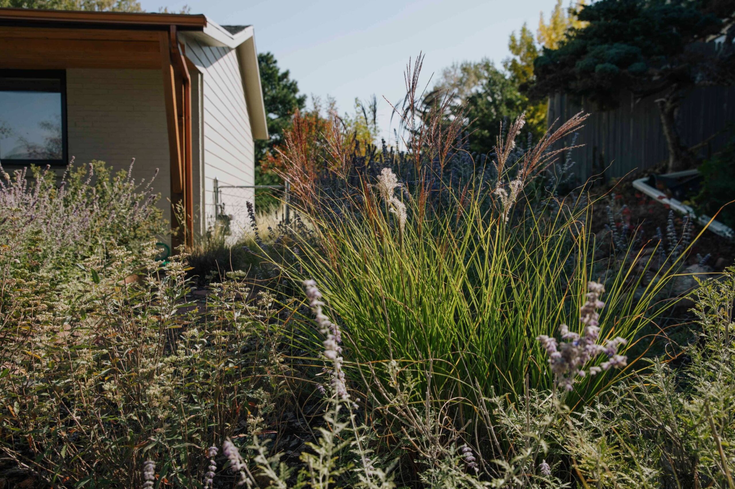 5da0a430-1a12-4361-9355-a60b89b54593