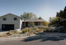 Відмовся від газону: 7 ідей для переднього двору без трави для привабливості та економії