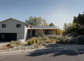 Відмовся від газону: 7 ідей для переднього двору без трави для привабливості та економії