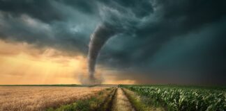 The United States Leads the World in Tornado Frequency