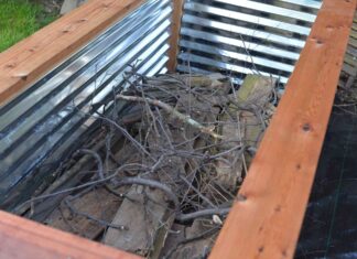 Економічні наповнювачі для піднятих грядок: посібник з органічних альтернатив