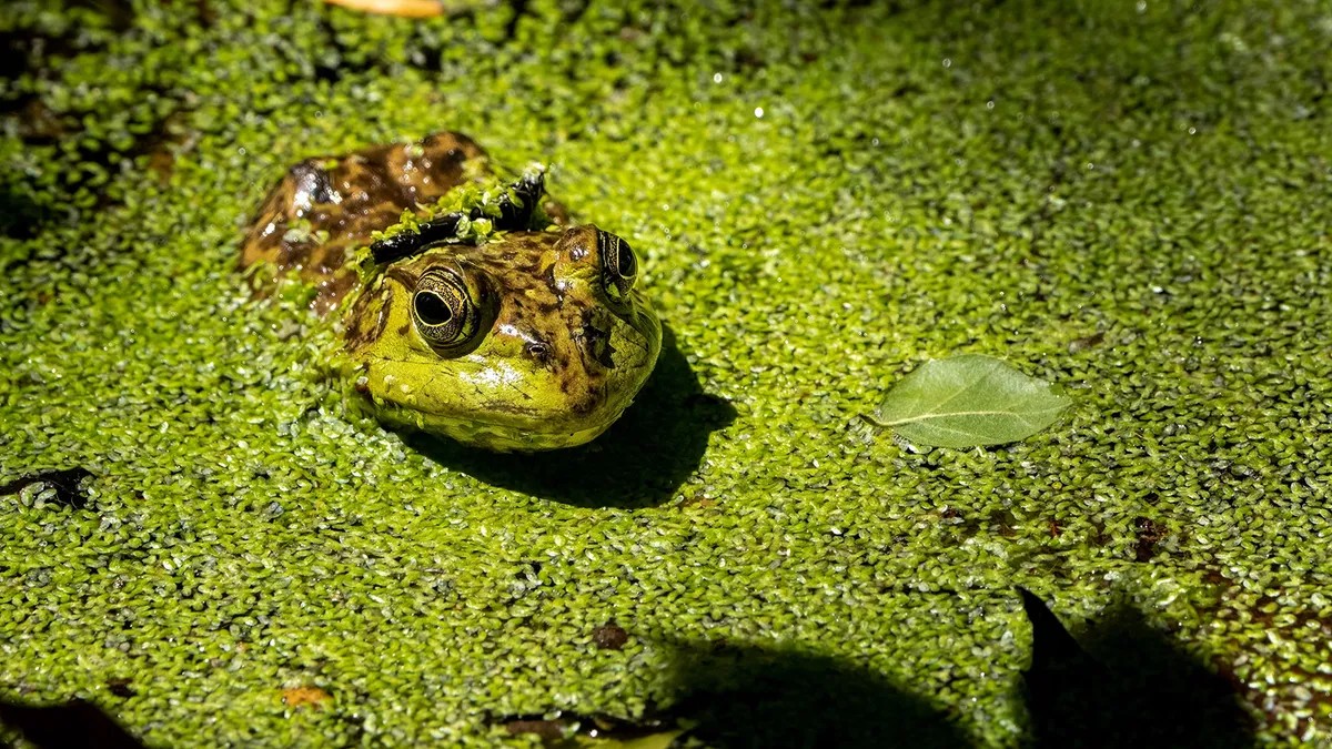 418209b7-e891-4db0-bf49-8820dd06a61d