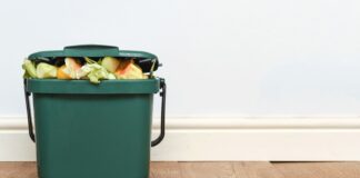 Como evitar odores desagradáveis na lixeira de alimentos neste verão