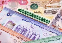 Податковий ландшафт Дубая: що потрібно знати резидентам та бізнесу