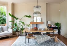 Pericolo nascosto nel tuo kit di pulizia: come gli spray domestici possono uccidere le tue piante d’appartamento