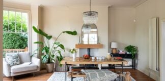 Прихована загроза у вашому наборі для прибирання: як побутові спреї можуть занапастити ваші кімнатні рослини