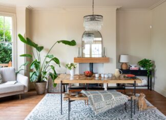 Прихована загроза у вашому наборі для прибирання: як побутові спреї можуть занапастити ваші кімнатні рослини