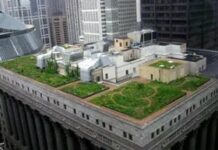 Why a green roof is the smartest home upgrade